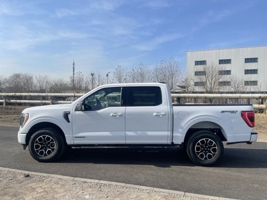 平行进口福特F-150加版最新行情 售价51万元起