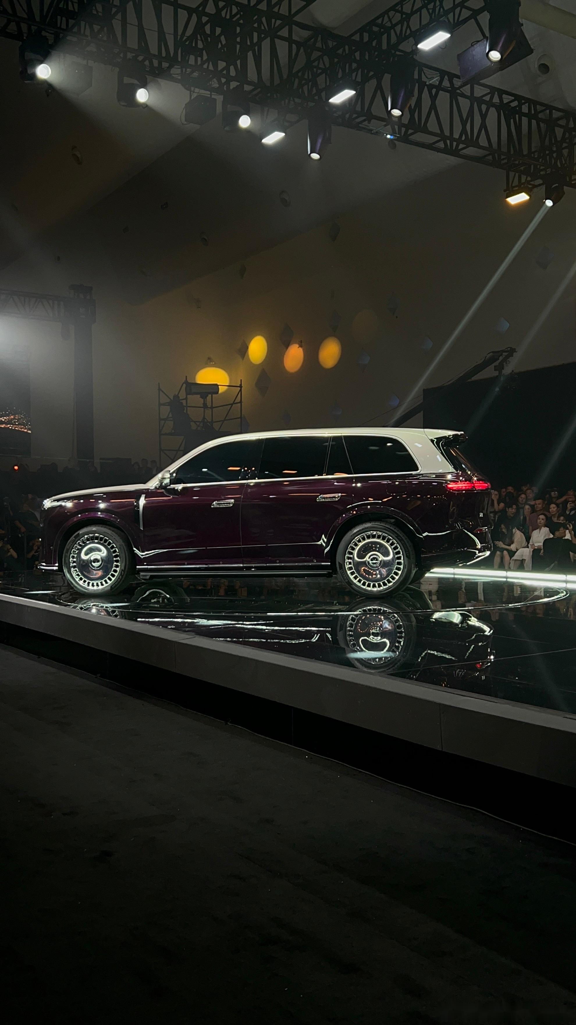 岚图泰山黑武士版更多官图发布，将于3月上市