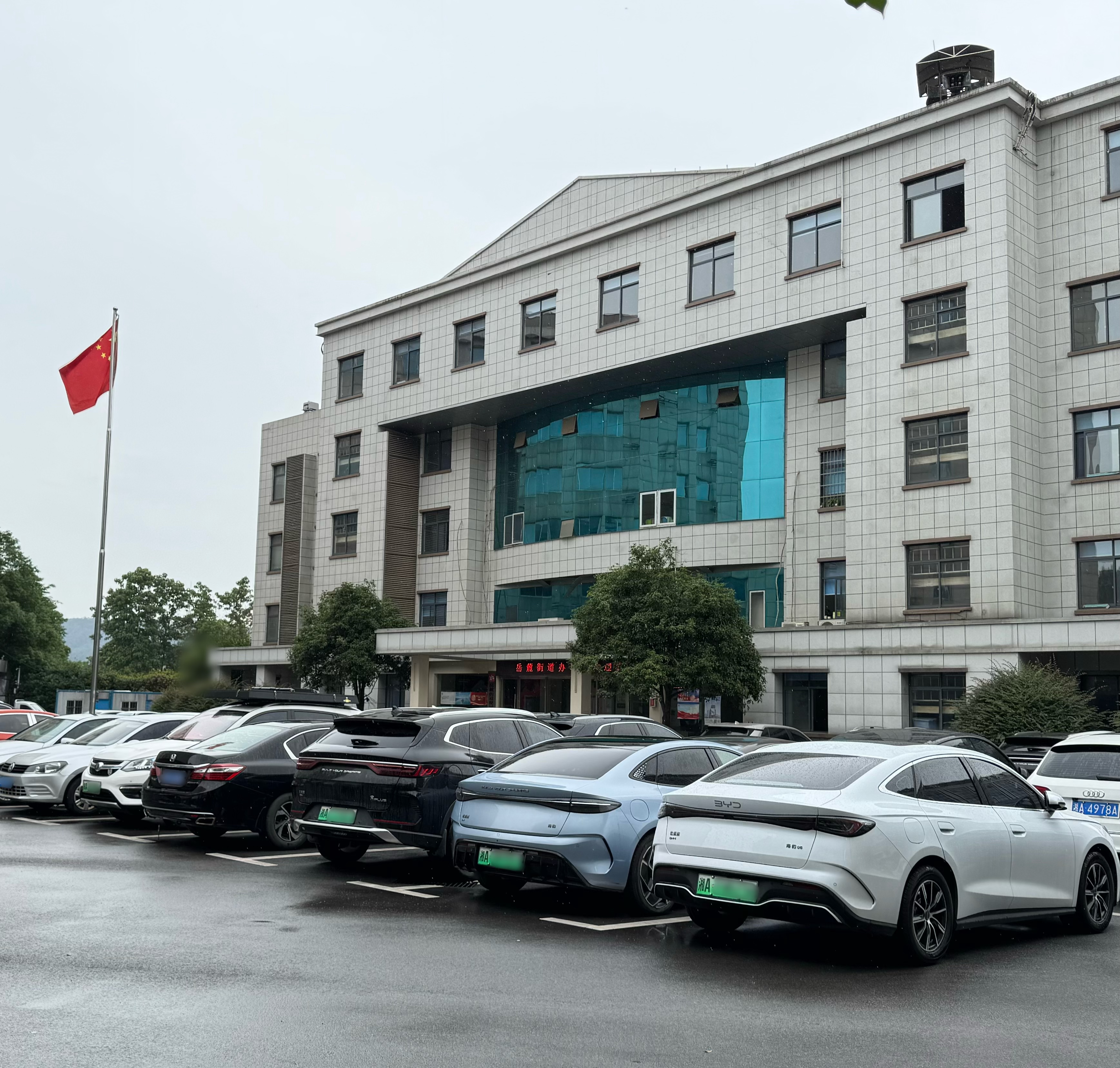 2026年1月轿车/SUV车型销量榜：双赛道发力，自主新能源强势登顶丨盖世汽车研究院