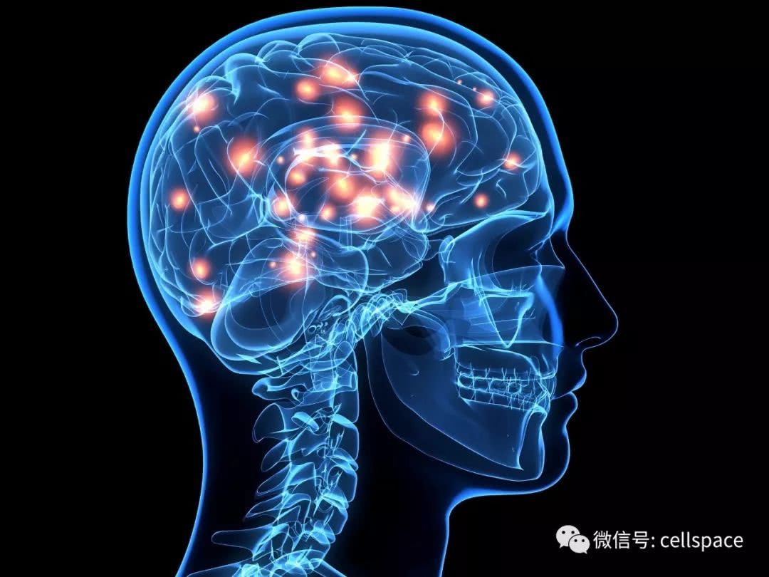 中科院开发出人工传感神经元 实现高精度、多色近红外物体识别中科院开发出人工传感神经元 实现高精度、多色近红外物体识别