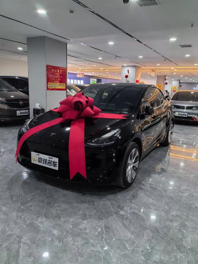 特斯拉软件总监托马斯·迪米特里克离职